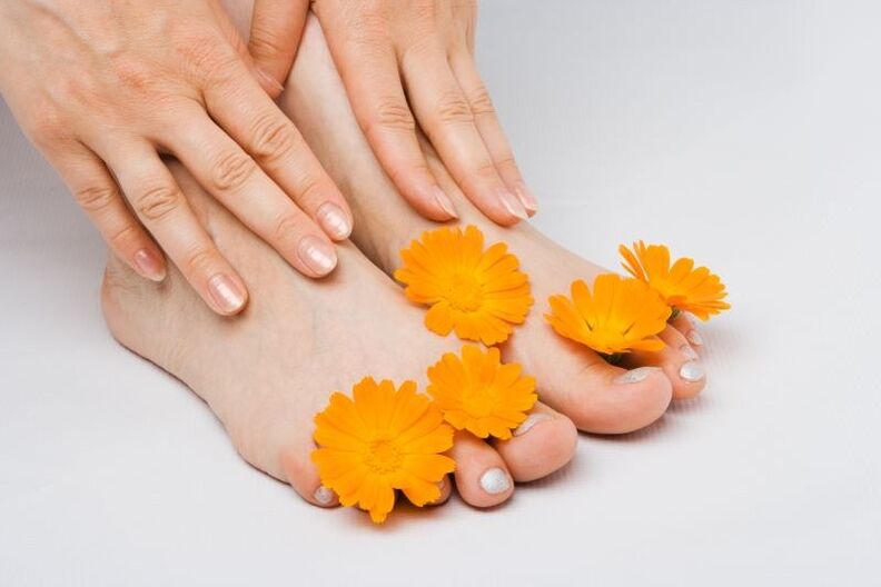 Flores de caléndula para hongos en las uñas de los pies. 