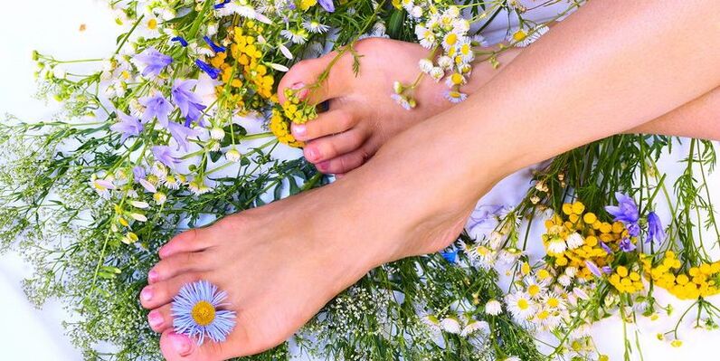 hierbas para hongos en las uñas de los pies