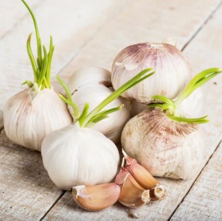 Ajo